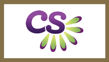 CS Gold 