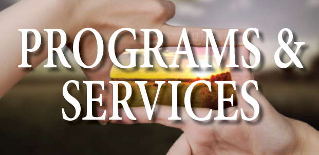 Programs-Services